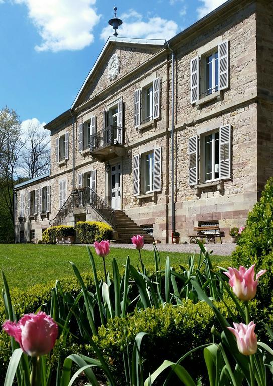 Chateau De La Houillere Bed & Breakfast Champagney Exterior photo