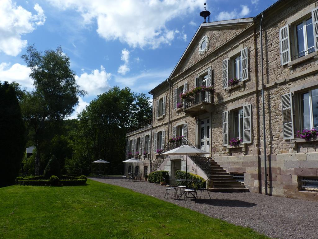 Chateau De La Houillere Bed & Breakfast Champagney Exterior photo